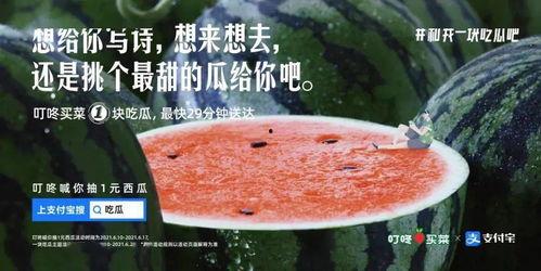 吃瓜文案吃瓜子,品味生活——吃瓜文案中的瓜子时光