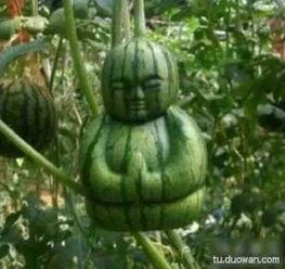 吃瓜网络意义,网络时代的围观力量