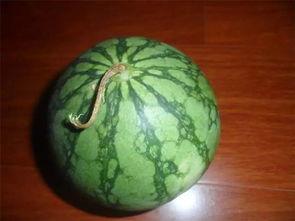 吃瓜也要挑着吃