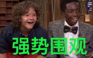 diss吃瓜句子,diss吃瓜背后的文化现象