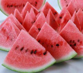 尿酸高矮瓜吃吗,矮瓜是否适宜食用？