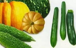 武陟吃瓜故事详情,一场引发全民热议的网络狂欢